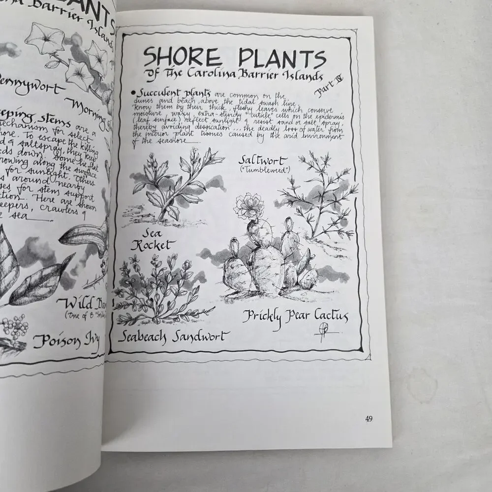 Tideland Treasure SIGNED by Todd Ballantine Naturalist Guide to Hilton Head Book